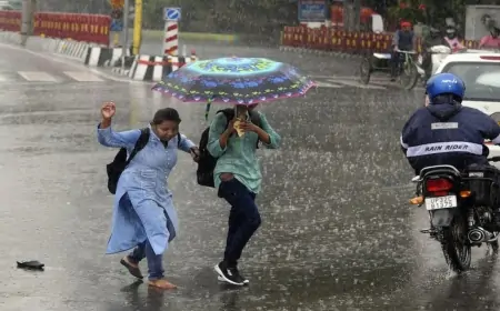 8 மாவட்டங்களுக்கு அதிக மழை அபாய எச்சரிக்கை 