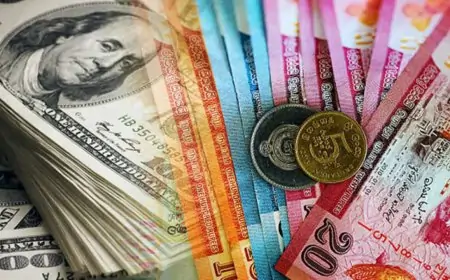 அமெரிக்க டொலரின் பெறுமதி மீண்டும் உயர்வு 