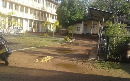 ஆசிரியர்கள் - அதிபர்கள் சுகயீன விடுமுறை; பாடசாலை நடவடிக்கைகள் பாதிப்பு