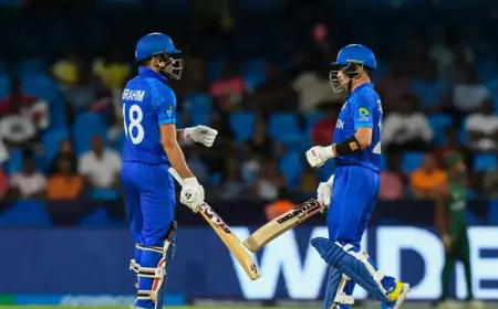 டி20 உலக கோப்பை அரையிறுதி போட்டி; 56 ரன்களுக்குள் சுருண்டது ஆப்கானிஸ்தான்