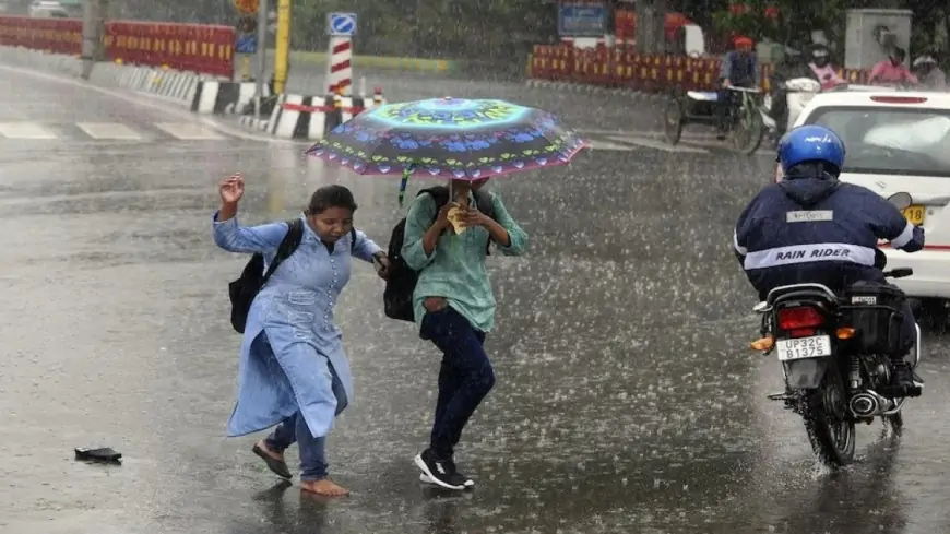 High risk rain alert issued for 8 districts for next 24 hours