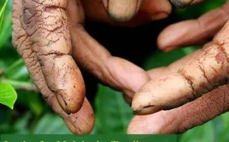 'UNCOVER' ஐந்து நாள் புகைப்படக் கண்காட்சி கொழும்பில் ஆரம்பம்