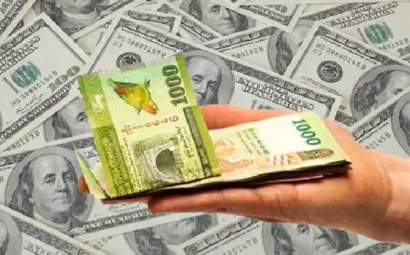 இலங்கை ரூபாயின் பெறுமதியில் இன்று ஏற்பட்டுள்ள மாற்றம்