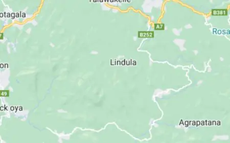 லிந்துலை லயன் குடியிருப்பில் தீ பரவல்