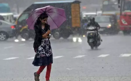 நாட்டின் பல பகுதிகளில் இன்றும் மழை 