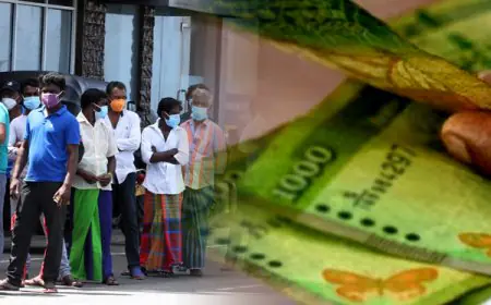 "அஸ்வெசும" இரண்டாம் கட்ட தகவல் கணக்கெடுப்பு ஜூலை 15-30 வரை