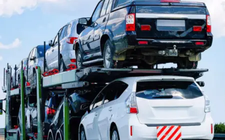 ஆகஸ்ட் முதல் வாகன இறக்குமதி: வெளியான விசேட அறிவித்தல்