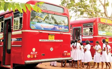 500 புதிய பாடசாலை பேருந்து சேவைகளை தொடங்க அனுமதி