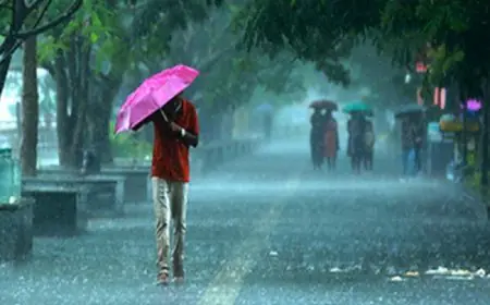 மழை மேலும் நீடிக்கும்; வளிமண்டலவியல் திணைக்களம் விடுத்துள்ள எச்சரிக்கை 