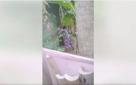 வயோதிப மாமியாரை தாக்கிய மருமகள் கைது! யாழில் சம்பவம்