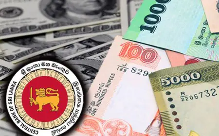 இன்று டொலரின் பெறுமதியில் ஏற்பட்டுள்ள மாற்றம்