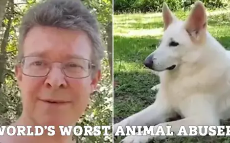 39 நாய்கள் உயிரிழப்பு; நாய்களை வன்புணர்வு செய்த நபருக்கு 249 வருடங்கள் சிறை!