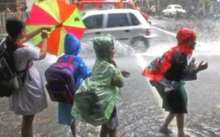 கனமழையால் 4 பாடசாலைகளுக்கு விடுமுறை