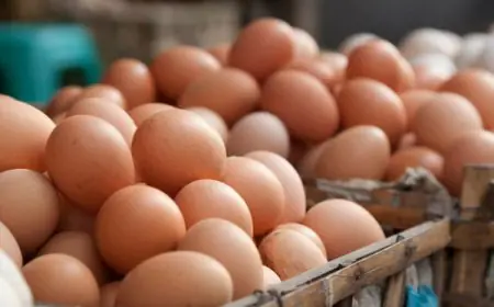 விலை அதிகரிப்பால் மீண்டும் முட்டை இறக்குமதி - வெளியான தகவல்