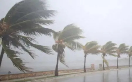 பலத்த காற்று மற்றும் கடல் சீற்றம் தொடர்பில் விடுக்கப்பட்ட எச்சரிக்கை