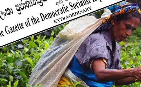 பெருந்தோட்ட தொழிலாளர்களின் சம்பள உயர்வு வர்த்தமானி இரத்து 