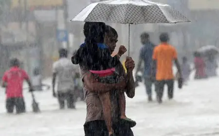 இன்று மழை பெய்யும் பிரதேசங்கள் இதோ - வெளியான தகவல்