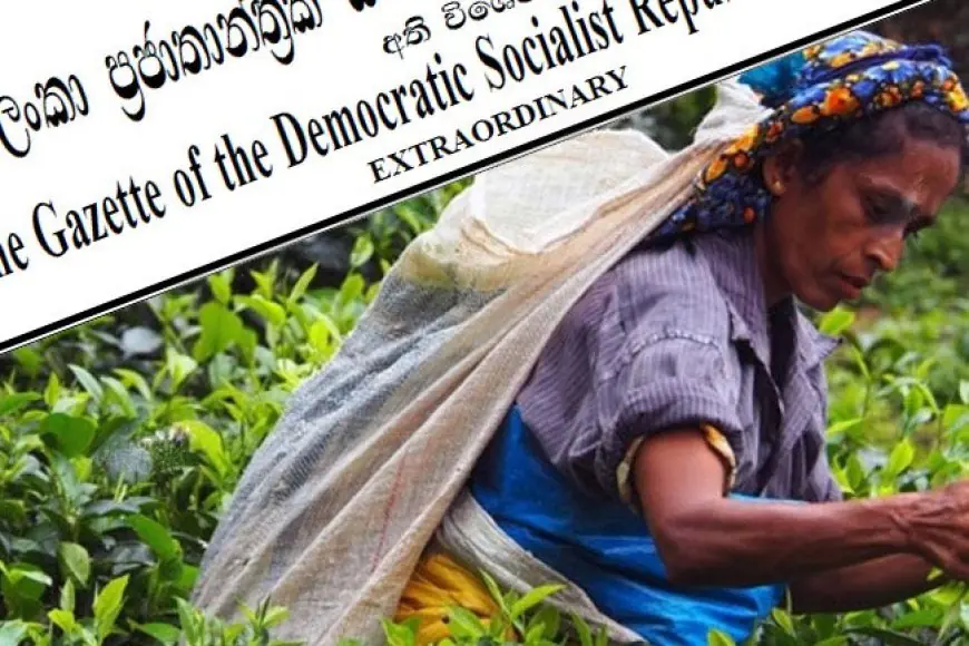 பெருந்தோட்ட தொழிலாளர்களின் சம்பள உயர்வு வர்த்தமானி இரத்து 