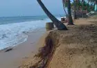 கடலரிப்பினால் காவு கொள்ளப்படும் அம்பாறை மீனவர் உடமைகள்