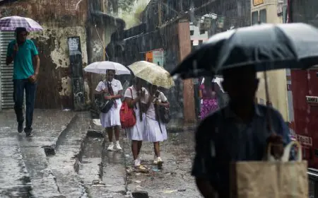 நாட்டின் பல பகுதிகளில் இன்றும் மழை 