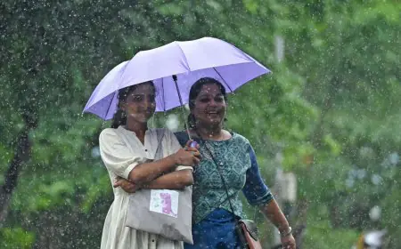 நாட்டின் சில பகுதிகளில் மழை - விவரம் இதோ!