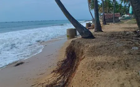 கடலரிப்பினால் காவு கொள்ளப்படும் அம்பாறை மீனவர் உடமைகள்