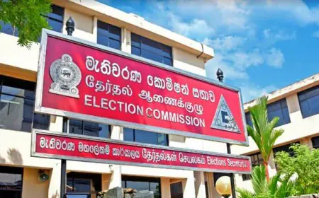 100க்கும் மேற்பட்ட தேர்தல் முறைப்பாடுகள்