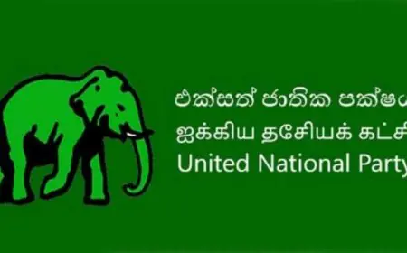 ஜனாதிபதி ரணிலுக்கு ஆதரவளிக்க ஐக்கிய தேசியக் கட்சியின் செயற்குழு தீர்மானம்