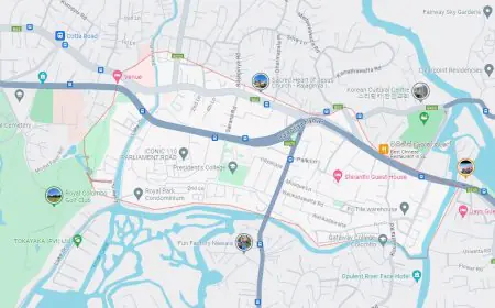 ராஜகிரியவில் துப்பாக்கிகளுடன் 07 பேர் கைது!