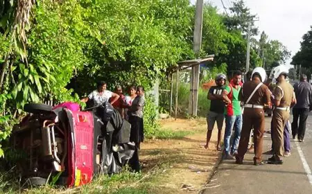 வீதி விபத்துக்களின் 3 பேர் உயிரிழப்பு