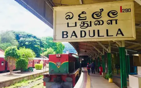 ரயிலில் மோதி இளைஞன் உயிரிழப்பு - அடையாளம் காண பொலிஸார் நடவடிக்கை