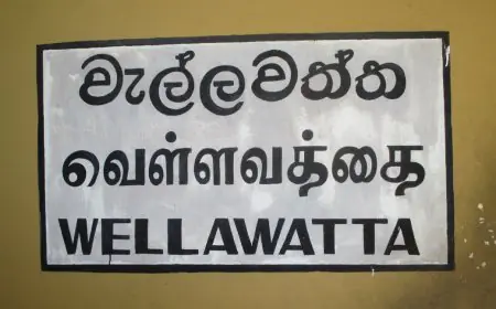 ஊழியர் கொலை; வெள்ளவத்தை கடை உரிமையாளர் கைது!