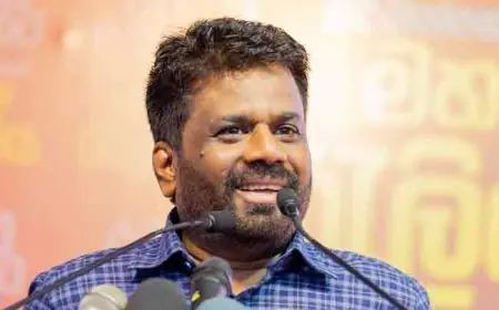 அர்ஜுனன் மகேந்திரனை இலங்கைக்கு அழைத்து வருவேன் - அநுரகுமார