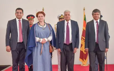 இரண்டு உயர்ஸ்தானிகர்களும் மூன்று தூதுவர்களும் புதிதாக நியமனம்