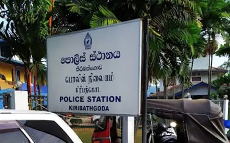 பல்பொருள் அங்காடியில் திருடிய குற்றத்தில் வைத்தியர் கைது!