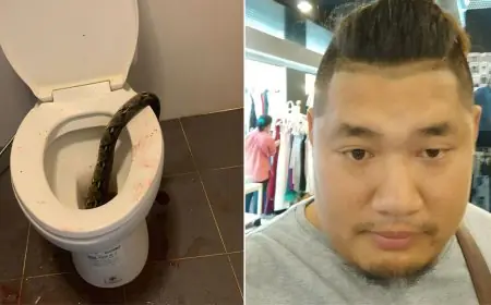 பிறப்புறுப்பை பதம்பார்த்த பாம்பு... கழிவறையில் ஏற்பட்ட அதிர்ச்சி  - என்ன ஆச்சு?