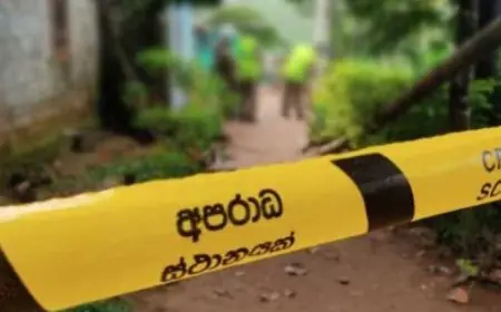 33 வயது சகோதரி கொலை; சகோதரர் கைது 