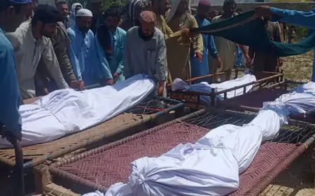 பாகிஸ்தானில் மேற்கொள்ளப்பட்ட தாக்குதலில் 35 பேர் பலி