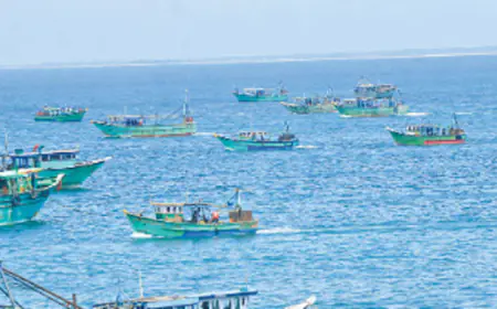 இலங்கை கடற்படையினரால் தமிழக மீனவர்கள் 8 பேர் கைது