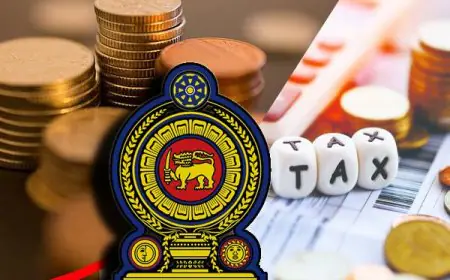 வரி செலுத்துவோர் எண்ணிக்கை உயர்வு - வெளியான தகவல்