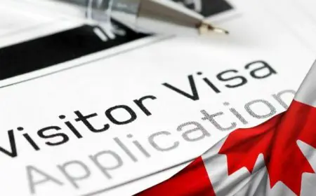 விசிட்டர் விசாவில் சென்றவர்கள் வேலைக்கு விண்ணப்பிக்க முடியாது - கனடாஅதிரடி