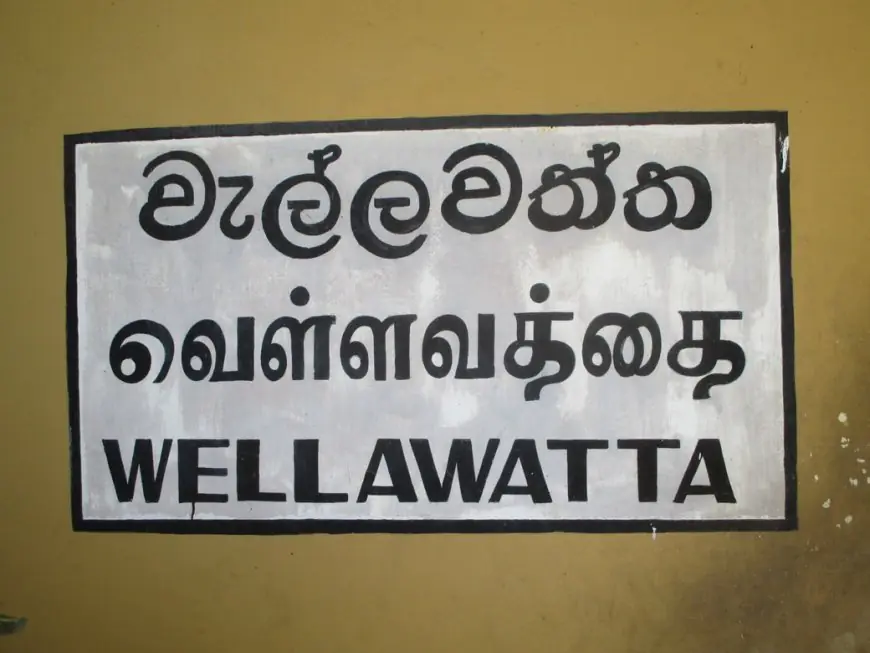 ஊழியர் கொலை; வெள்ளவத்தை கடை உரிமையாளர் கைது!