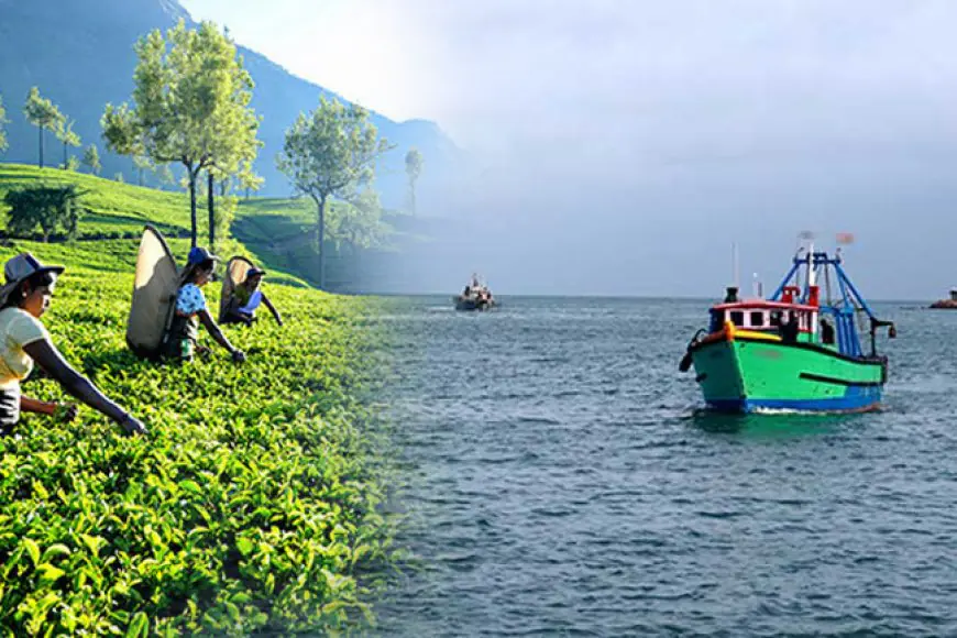 எரிபொருள், உரத்திற்கு இன்று முதல் மானியம்
