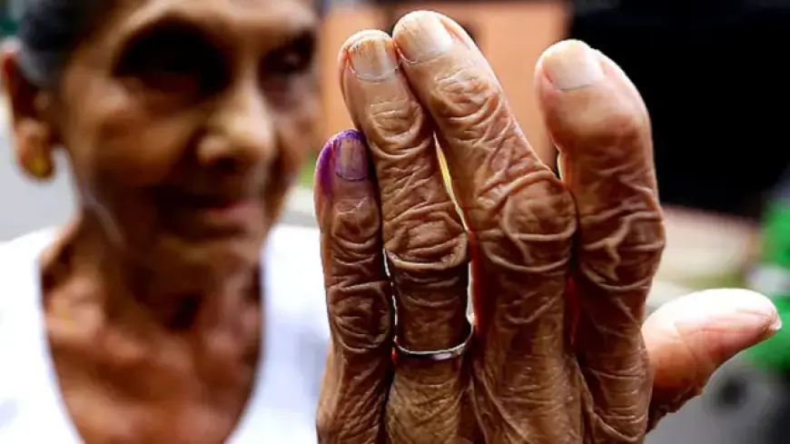 எல்பிட்டிய உள்ளுராட்சி மன்ற தேர்தல் - எந்தவொரு கட்சியும் கட்டுப்பணம் செலுத்தவில்லையாம்!