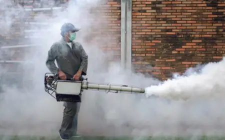 நாளை முதல் டெங்கு ஒழிப்பு விசேட வேலைத்திட்டம்