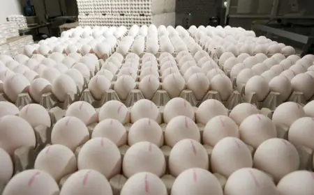 நாட்டுக்கு வரும் 3 மில். முட்டைகள்; தலா 40 ரூபாய்க்கு விற்கப்படும்