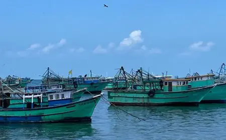 இலங்கை கடற்பரப்பில் தமிழக மீனவர்கள் 14 பேர் கைது