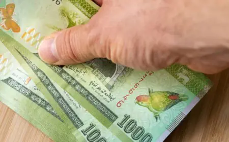 மஹாபொல புலமைப்பரிசில் தொகையை அதிகரிக்க அமைச்சரவை அனுமதி