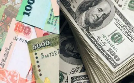 இலங்கை ரூபாயின் பெறுமதியில் ஏற்பட்டுள்ள மாற்றம்