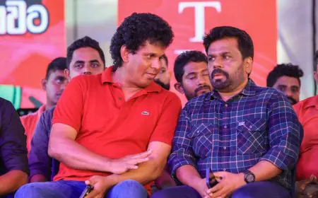 NPP இடைக்கால அமைச்சரவையில் தமிழ் எம்.பி.க்களுக்கு வாய்ப்பு!